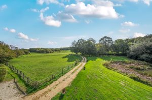 Photo 27- click for photo gallery